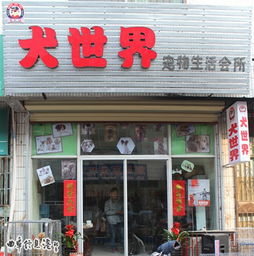 曲阜犬世界寵物生活會(huì)館 一站式寵物生活服務(wù)中心