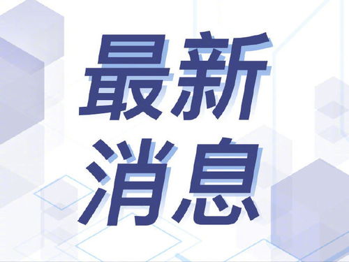 熊思東代表建議 建立公立婚介組織，為提升結婚率探索新路徑
